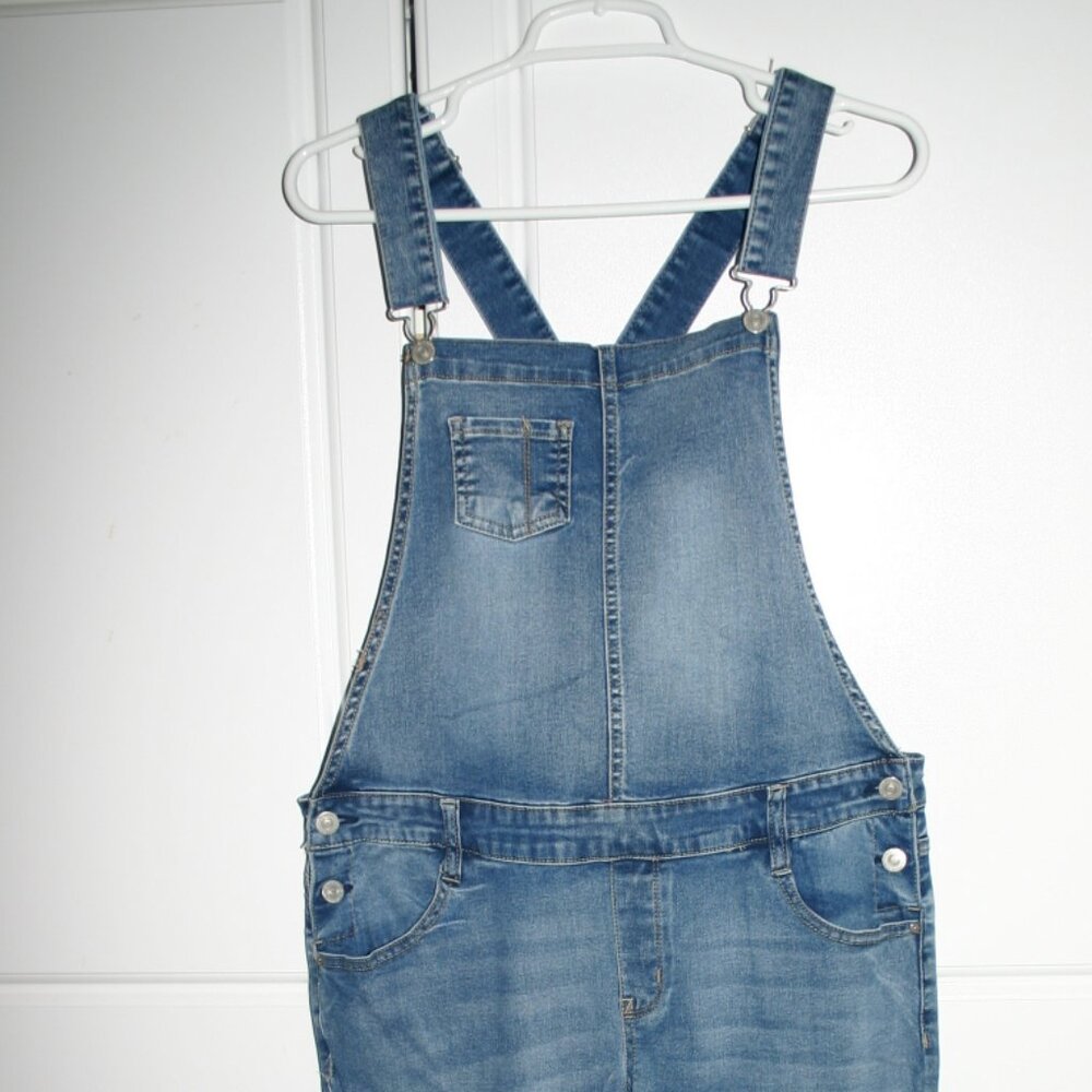 WallFlower Overalls